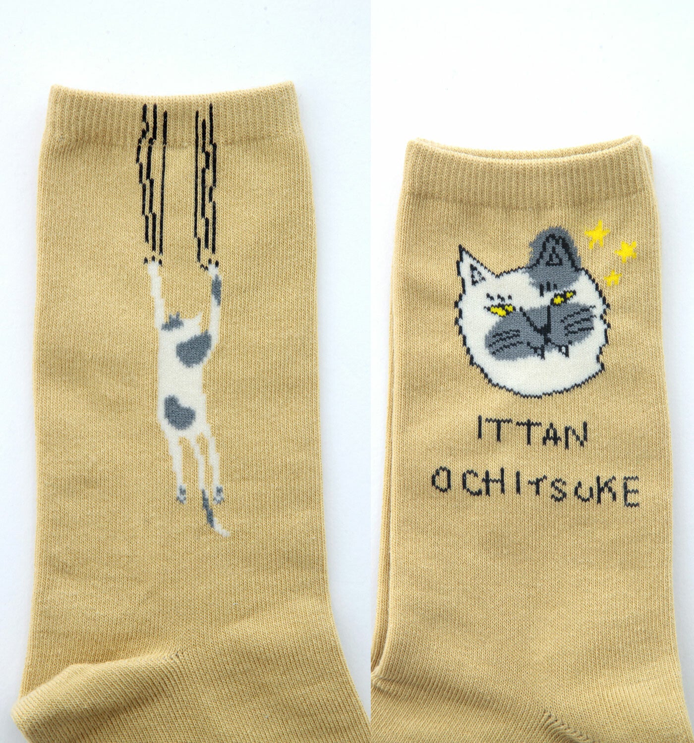 Gray × Beige [Cat]